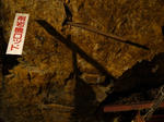 20090207_05.jpg