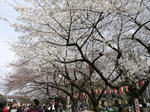 20090327_01.jpg