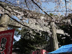 20090327_03.jpg
