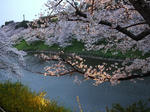20090404_01.jpg