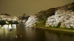 20090404_03.jpg