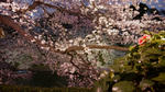 20090404_05.jpg