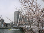 20090404_08.jpg