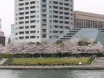 20090404_09.jpg