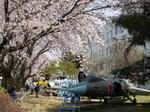 20090405_03.jpg