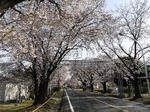 20090405_05.jpg