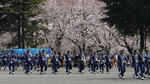 20090405_18.jpg