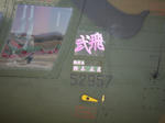 20090411_19.JPG