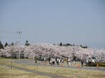 20090411_25.JPG