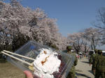 20090411_28.JPG