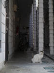 P1010178.JPG