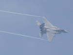 F-15J