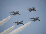 P1020134.JPG