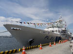 PL31 IZU