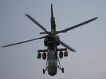 OH-1