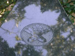 RIMG2972.jpg