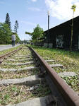 P1070433.jpg