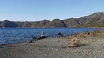 P1080750.jpg