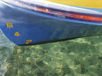 P1080757.jpg