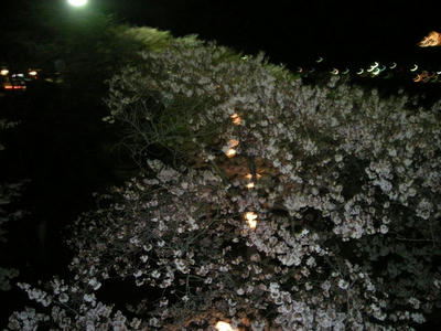DSCN1450.jpg