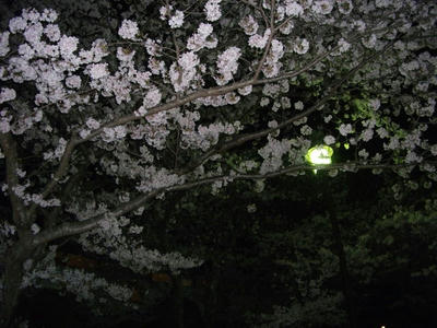 9393446_1077055628_177large.jpg