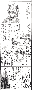 nyame1.gif