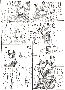nyame3.gif