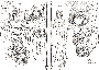 sqq110.gif