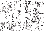sqq111.gif