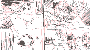 sqq115.gif