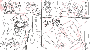 sqq128.gif