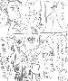 londo2.gif