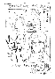 orei12.gif