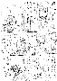 sqq160.gif