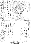 sqq163.gif