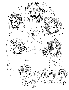 sqq168.gif