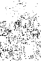 sqq169.gif