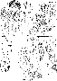 sqq170.gif