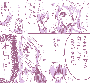 sqq182.gif