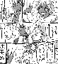 sqq207.gif