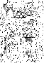 sqq212.gif