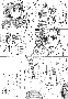 sqq213.gif