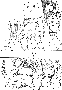 sqq214.gif