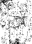 sqq216.gif