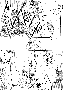 sqq217.gif
