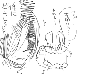 sqq224.gif