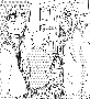 sqq245.gif