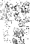 sqq250.gif