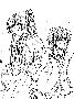 junk27.gif