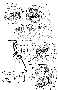 junk28.gif